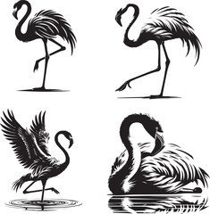 Flamingo Silhouettes: Standing Flamingo on One Leg, Walking Flamingo, Wing-Spreading Flamingo, Resting Flamingo, Black and White Elegant Bird Designs, Wildlife Vector Art, isolated on white