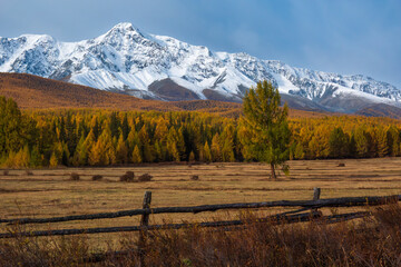 Majestic mountain with snow-capped peaks surrounded by vibrant autumn forest and rustic wooden fence
