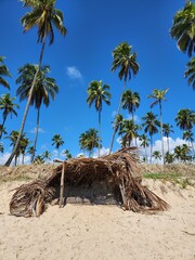 Itapuama beach, Cabo de Santo Agostinho PE BRAZIL