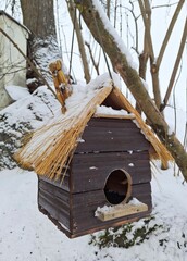 A wooden birdhouse hanging on a tree branch resembles the shape of a cute little house with a thatched roof. winter landscape. 