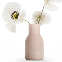 3D illustration of beautiful bouquets in modern glass vases with poppy flower isolated on white background