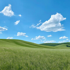 Fototapeta premium Exploring rolling green hills scenic landscape nature photography outdoor serenity wide angle view tranquil environment