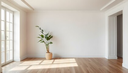 Light empty room with day light and a green potted plant on the floor. Mock-up, place for a product such as furniture