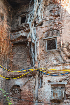 Old building in Rawalpindi - tree grown in the walls