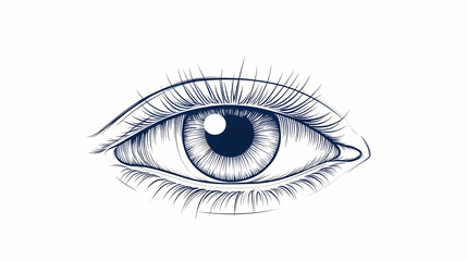 Fototapeta premium Detailed line art drawing of a human eye, isolated on white background, perfect for medical, beauty, or vision-related projects