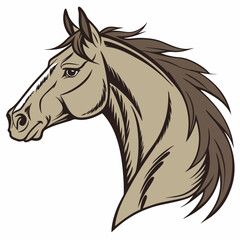 horse isolated on white background