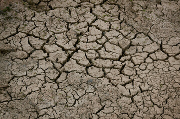 Cracked soil due to drought, Brown dry soil or cracked ground texture background, Aridity, cracked mud.