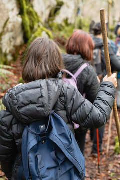 Adventurers hiking in magic forest with backpacks