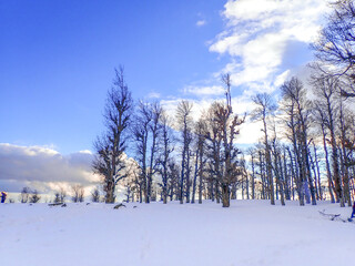 Winter snow mountain cabin panorama. Winter mountain snow forest tree. landscape mountain snow. Winter and cold Winter forest in Algeria, Jijel North Africa, snow covered trees and cold weather. Arabs