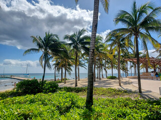Obraz premium Playa del Car beach view