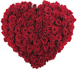 red rose heart