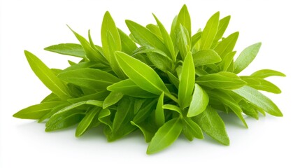 Fresh Tarragon Herb Isolated on White. Generative AI