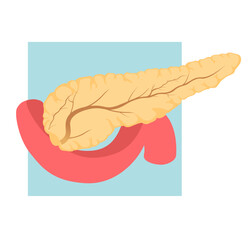 Pancreas Icon stock illustration