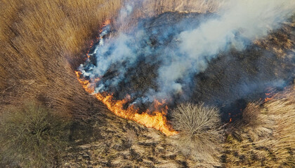Fire spreads rapidly through dry grass in a grassy field during a burn
