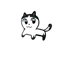 แมวสีขาว