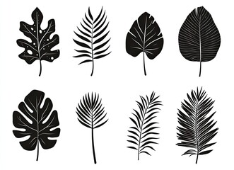 Fototapeta premium Beautiful Palm Tree Leaf Set Silhouette Vector Illustration, Tropical Nature-Inspired Design on a Clean Background for Creative Projects