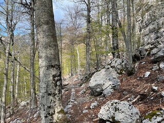 Premuzic hiking trail or Premuzic Trail - Velebit Nature Park, Croatia or Premuzic-Wanderweg or Premuzic's Trail (Pješački planinarski put Premužićeva staza - Park prirode Velebit, Hrvatska)