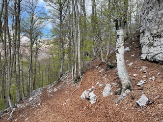 Premuzic hiking trail or Premuzic Trail - Velebit Nature Park, Croatia or Premuzic-Wanderweg or Premuzic's Trail (Pješački planinarski put Premužićeva staza - Park prirode Velebit, Hrvatska)