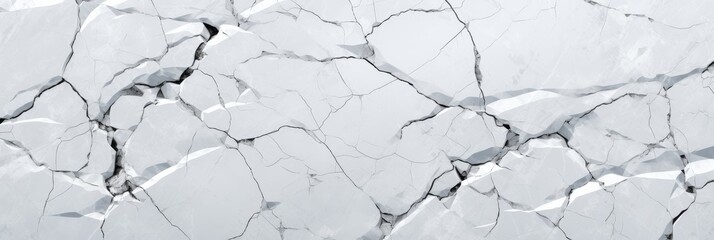 Fototapeta premium Cracked white surface revealing intricate patterns of nature's design. Generative AI