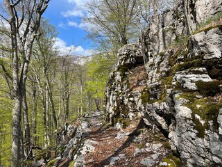 Premuzic hiking trail or Premuzic Trail - Velebit Nature Park, Croatia or Premuzic-Wanderweg or Premuzic's Trail (Pje&scaron;ački planinarski put Premužićeva staza - Park prirode Velebit, Hrvatska)