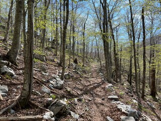 Premuzic hiking trail or Premuzic Trail - Velebit Nature Park, Croatia or Premuzic-Wanderweg or Premuzic's Trail (Pješački planinarski put Premužićeva staza - Park prirode Velebit, Hrvatska)