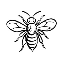 Fototapeta premium Black and white illustration of a bee
