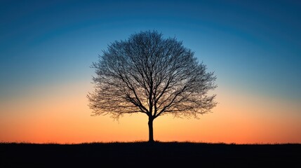 Obraz premium Majestic Tree Silhouette Against Vibrant Sunset Sky in Tranquil Nature Setting