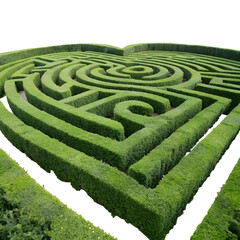 A heart-shaped maze made of green hedges. The image is a symbol of love and nature. The image is isolated on a transparent background.