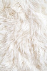 Fototapeta premium top-down view of soft fluffy lamb wool in creamy white tones with delicate natural detailing