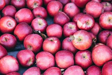 Fresh New York Apples in Crate Background