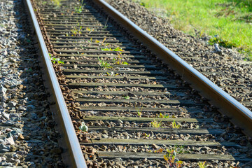 Railway tracks stretch into the distance, partially covered with greenery and weeds, highlighting...