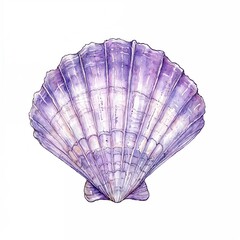Beautiful purple scallop shell with intricate textures and patterns on a light background