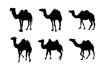 Naklejka premium Camel silhouette vector image set