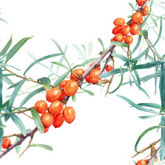Seamless Watercolor Botanical Pattern of Sea Buckthorn Branches with Orange Berries and Green Leaves Isolated on White