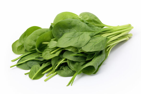 Fresh Spinach Leaves