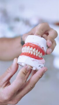 Dentist demonstrating dental prosthesis model in modern clinic