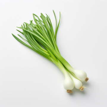 Fresh Green Onions
