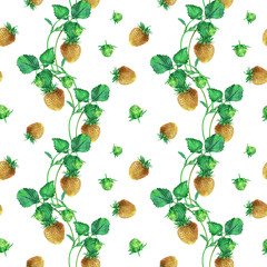 Watercolor seamless strawberry pattern. Strawberry garden, botanical illustration, pattern of bushes and berries.