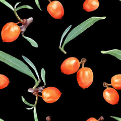 Seamless Watercolor Botanical Pattern of Sea Buckthorn Branches with Orange Berries and Green Leaves 