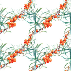 Seamless Watercolor Botanical Pattern of Sea Buckthorn Branches with Orange Berries and Green Leaves Isolated on White