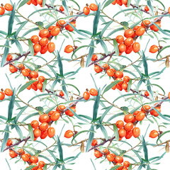 Seamless Watercolor Botanical Pattern of Sea Buckthorn Branches with Orange Berries and Green Leaves Isolated on White