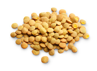 Raw lentil on white background