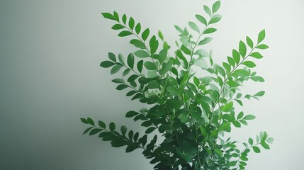 Lush Green Plant with Elegant Leaves Against Soft Background