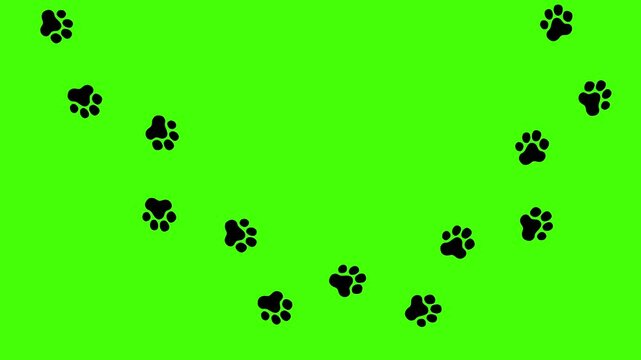 Animated sequence of animal paw prints. Suitable for conveying themes of pets, nature, or tracking. Useful for educational materials, animated stories