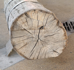 Wood End