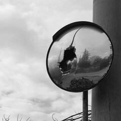 curved road safety convex mirror with broken glass surface black and white
