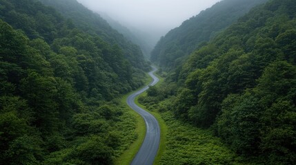Fototapeta premium Winding road through misty green valley, aerial view