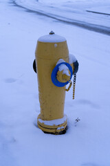 A fire hydrant is blanketed in snow, standing out against the wintry landscape. This urban winter scene captures the contrast between city infrastructure and the natural elements of snow and cold.