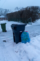 A trash bin and a plastic recycling bag stand covered in snow on a quiet street. This winter scene highlights the urban infrastructure during the colder months.