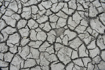 dry cracked earth
